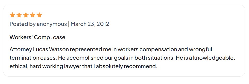 Anonymous Review 2